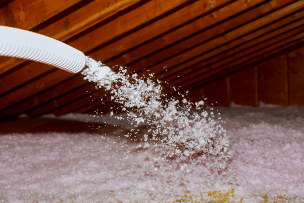 Best Insulation Removal  in Millington, TN