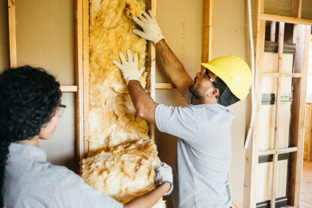 Best Spray Foam Insulation  in Millington, TN