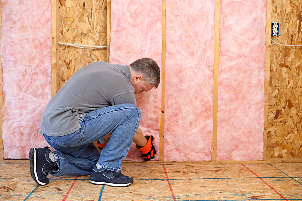 Best Insulation Contractors for Homes  in Millington, TN