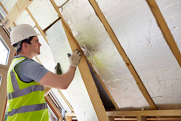 Best Best Insulation Companies  in Millington, TN