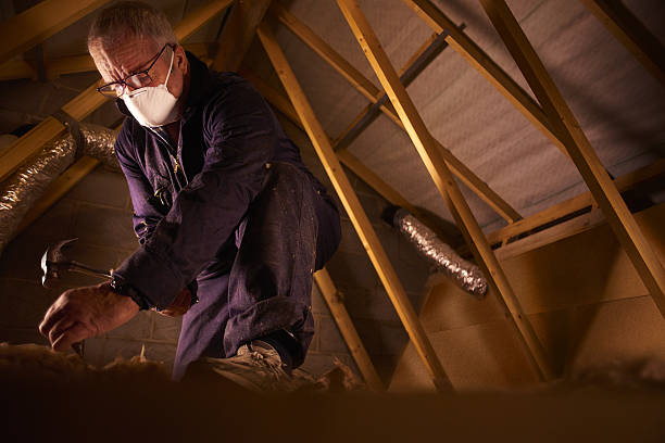 Best Home Insulation Services  in Millington, TN