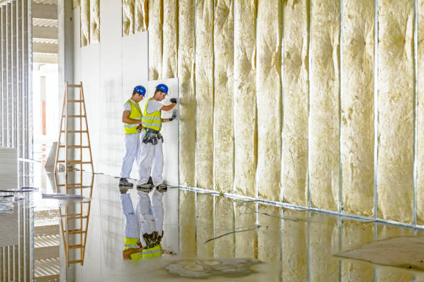 Best Insulation Repair Services  in Millington, TN